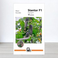 Насіння огірка Стентор F1, АПГ Nunhems, Нідерланди, 10 насінин